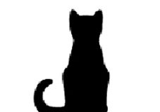 Beogradski centar za ljudska prava