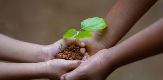 Zakon o potvrđivanju konvencije o dostupnosti informacija, učešću javnosti u donošenju odluka i pravu na pravnu zaštitu u pitanjima životne sredine