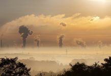 2021. godina u svetlu informacija od javnog značaja (2/3)